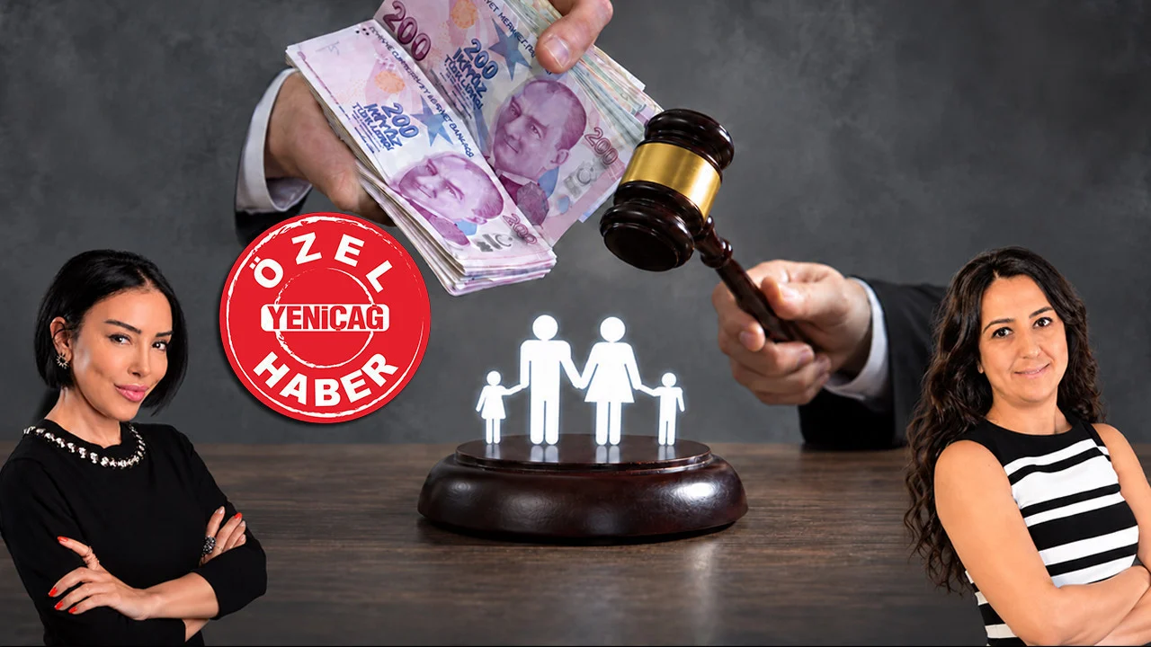 Hukukçulardan nafaka düzenlemesine tepki: Haklarımız tırpanlanmak isteniyor