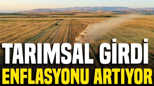 TÜİK açıkladı: Tarımsal girdi enflasyonu artıyor