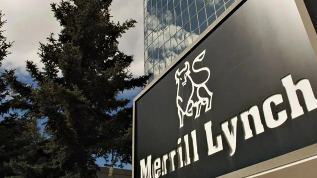 Merrill Lynch, 8 milyar lirayı alıp gitmiş