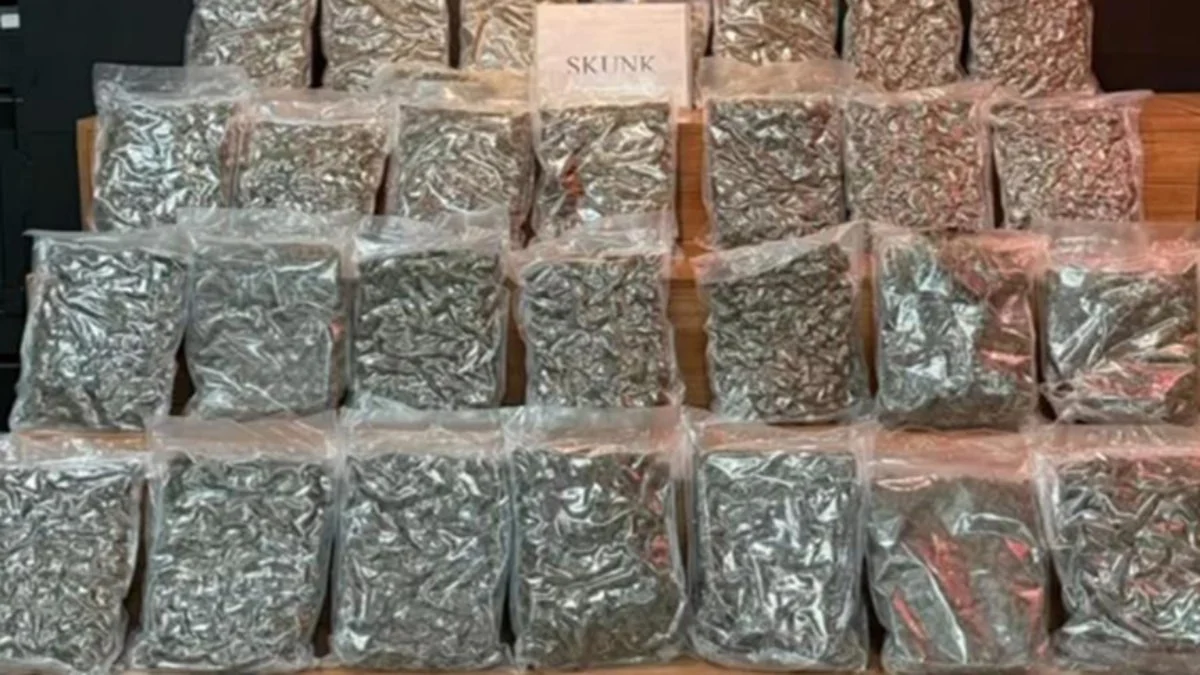 Şanlıurfa’da otobüste 16 kilo 400 gram skunk bulundu